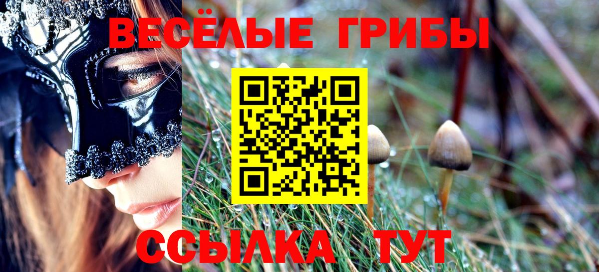 Псилоцибиновые грибы GOLDEN TEACHER Коломна