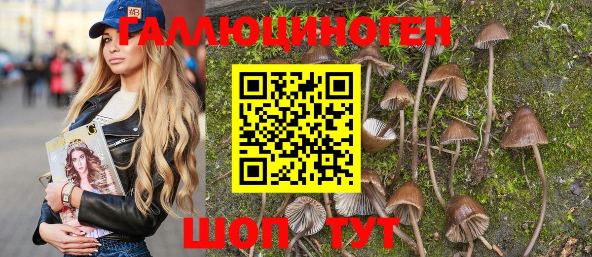 Коломна  купить наркоту  Вход с VPN  Псилоцибиновые грибы Psilocybine cubensis  Галлюциногенные грибы мухоморы 