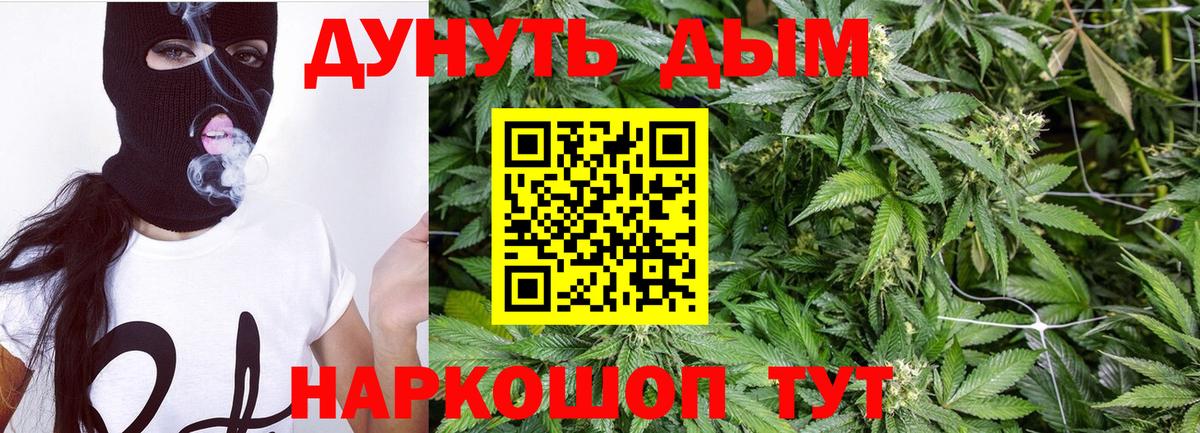 Бошки Шишки план Коломна